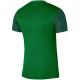 4. Nike Trophy V JSY M T-shirt DR0933 302