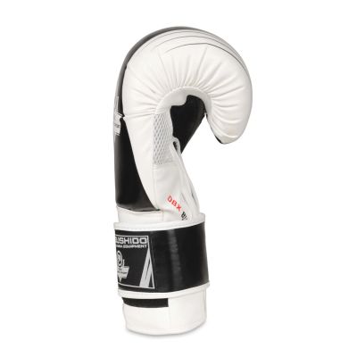 6. 10oz Boxing Gloves - Edge - Valor Series