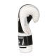6. 10oz Boxing Gloves - Edge - Valor Series