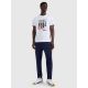 3. Men's regular printed T-shirt 4F 4FRAW25TTSHM3364-10S