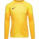 4. Nike Gardien IV Goalkeeper JSY M DH7967 719 goalkeeper shirt
