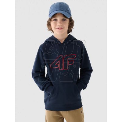 Hoodie 4F Jr 4FJWMM00TSWSM1292-31S