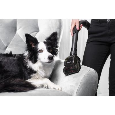 6. Furious Animal VP5151 CONCEPT Bagless Vacuum Cleaner
