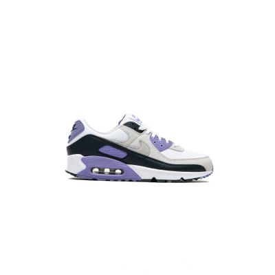NIKE AIR MAX 90 Men's Shoes (DM0029-114)
