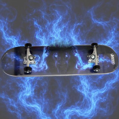 17. LION BEST SPORTING WOODEN SKATEBOARD