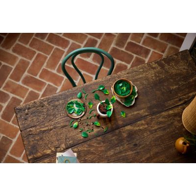 14. LEGO Botanical Collection 11512 - Hanging Golden Epipremnum