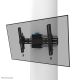13. WL35S-910BL16 Neomounts TV wall mount