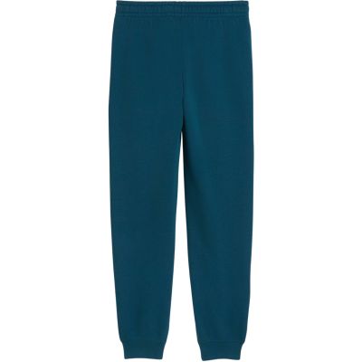 3. Puma ESS 2 Color No. 1 Logo Turquoise Kids' Pants 685824 36