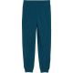 3. Puma ESS 2 Color No. 1 Logo Turquoise Kids' Pants 685824 36