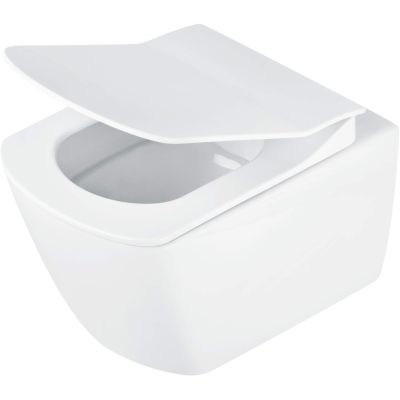 Wall-hung rimless toilet bowl