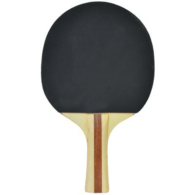 2. FUN BAT 81815 ping pong racket