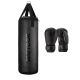 Meteor 12kg Punching Bag and 6oz Boxing Gloves Set