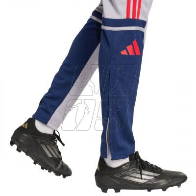 6. adidas Squadra 25 Training M JP3372 Pants