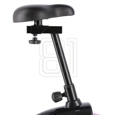 61. Magnetic bike purple HMS M9239V