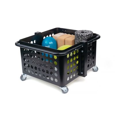 2. tiguar mini basket for accessories