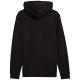2. Puma ESS Small No.1 Logo Hoodie TR M 682576 01