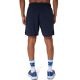9. Asics Icon 7IN Short M 2011D238400 shorts