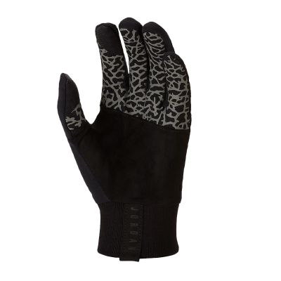 2. Nike Jordan Therma Sphere J0003593-980 gloves