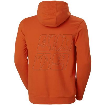 2. Helly Hansen Logo Hoodie M 33977-300