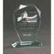 Engraved glass trophy with case