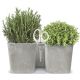 10. TWINS CUBE HERB POT WITH SCISSORS WHITE