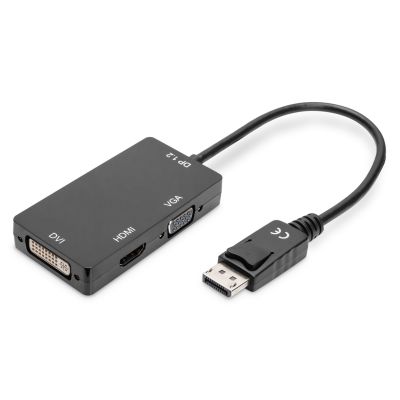 2. Digitus DisplayPort 3-in-1 Converter Cable
