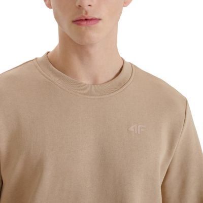 10. Sweatshirt 4F M1622 M 4FWSS25TSWSM1622 83S