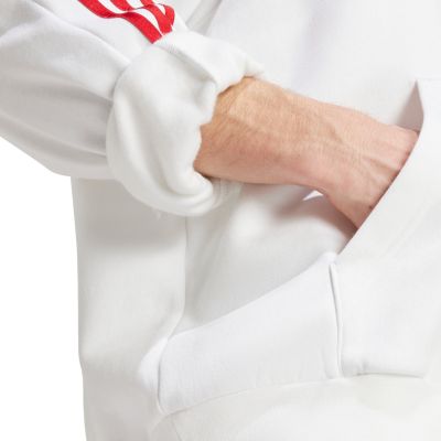 12. Adidas House of Tiro Nations Pack M sweatshirt IY4528