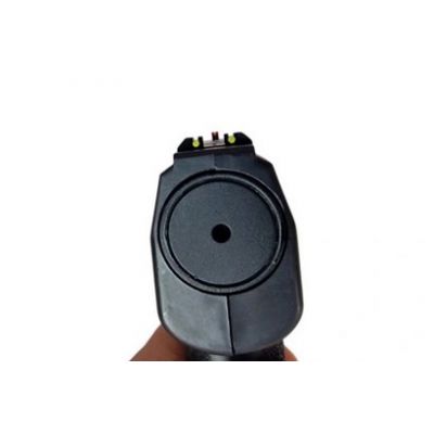 19. BEEMAN BP50 bullet gun cal. 50 CO2-12g