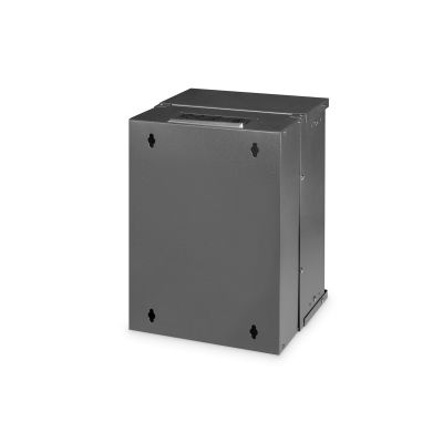 6. Digitus SOHO Pro Wall-Mounted Case - 254 mm (10") - 315x300 mm (W x D)