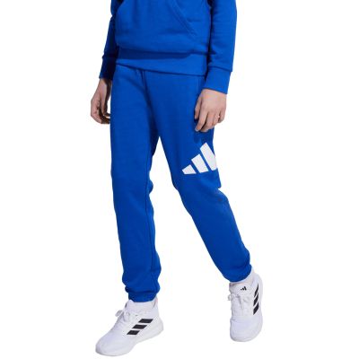 6. adidas Essentials 280 Blue Kids' Pants JV9916
