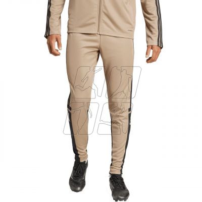 adidas Squadra 25 Training M JP3374 Pants