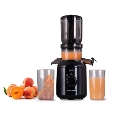 27. ELDOM SLOW JUICER PJ350 250 W BLACK TWO FILTERS NEW GENERATION HEAVY PRESS