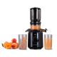 27. ELDOM SLOW JUICER PJ350 250 W BLACK TWO FILTERS NEW GENERATION HEAVY PRESS