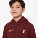 4. Nike Liverpool FC NSW Club PO Hoodie Jr FZ4149-619