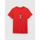 6. Men's regular printed T-shirt 4F 4FRAW25TTSHM3225-62S