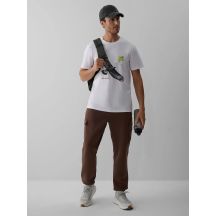 Men's cargo sweatpants 4F 4FRAW26TTROM2091-81S