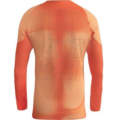 3. Nike Gardien IV Goalkeeper JSY M DH7967 819 goalkeeper jersey