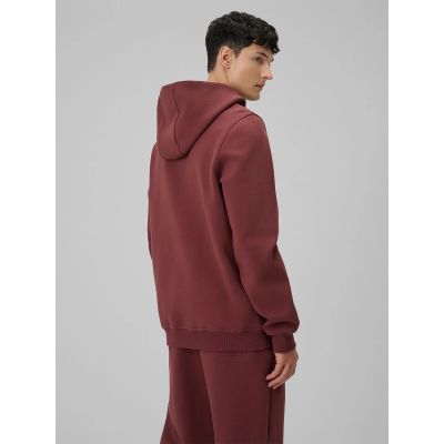 2. Men's regular hooded sweatshirt 4F 4FRSS26TSWSM2793-60S