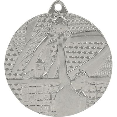 silver medal - volleyball