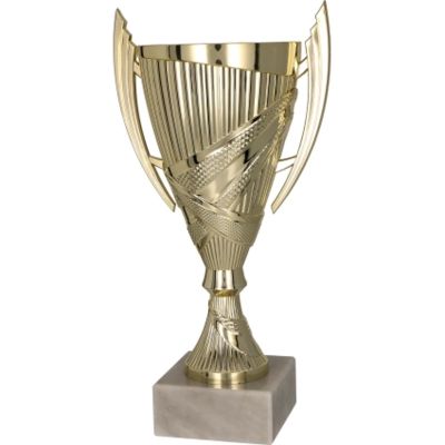 6. Gold plastic cup 8300B