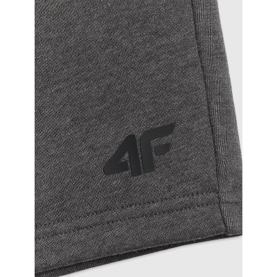7. Men's sweatpants 4F 4FRSS26TSHOM0970-23M