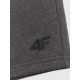 7. Men's sweatpants 4F 4FRSS26TSHOM0970-23M