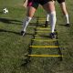 12. Training ladder Agl-FF09M 9m HS-TNK-000008442