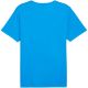 3. Puma teamRISE Matchday Jersey M 706132 02