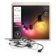 4. Philips Hue White and color ambiance Hue Festavia garden garland 7 m