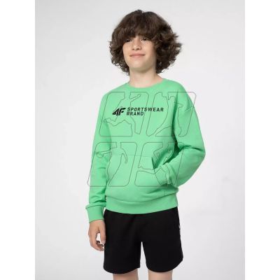 3. Sweatshirt 4F Jr. 4FJSS23TSWSM222-45S