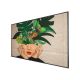 9. PHILIPS D-Line 65BDL4511D 165.1cm(65") 24/7/UHD (Speditionsversand)