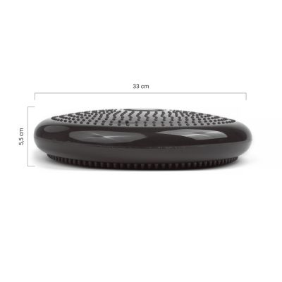 11. tiguar disc (air disc) - graphite