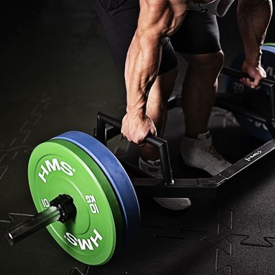 42. HMS BLUE BUMPER 20 kg Olympic Plate CBR20 